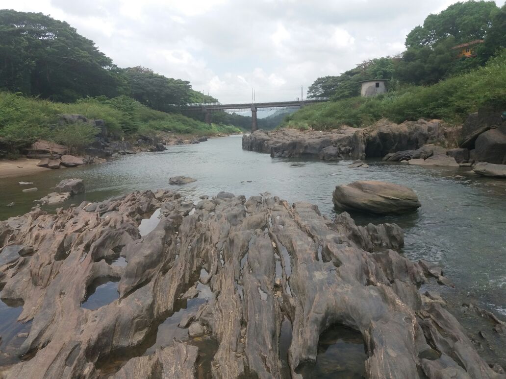 IMG-20250609-WA0021